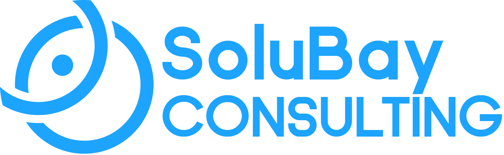 SoluBay consulting